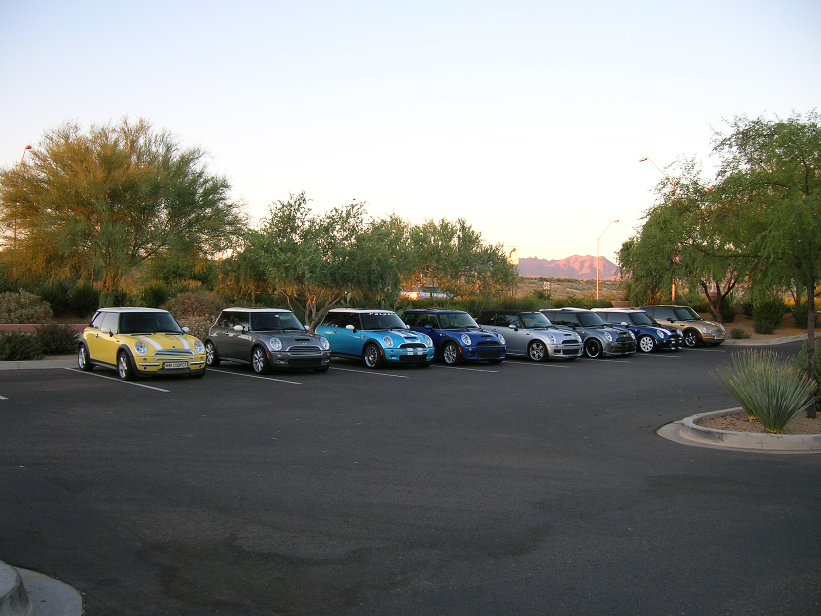 Some of the bunch from Dynamic Mini Collective in Scottsdale, AZ