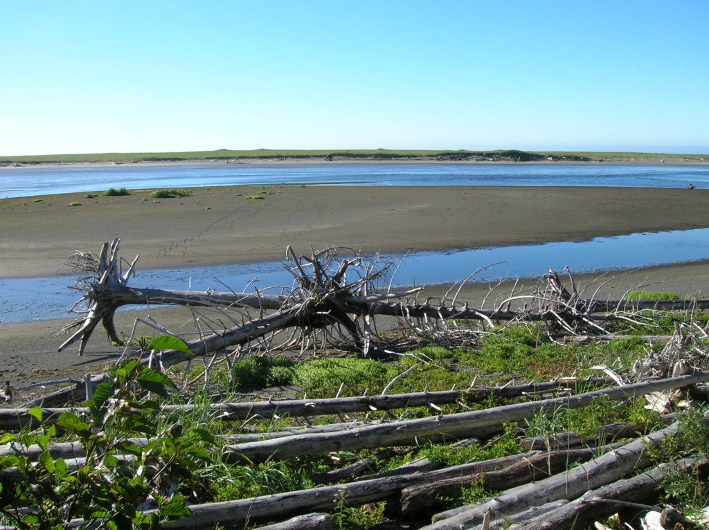 dscn0030.jpg