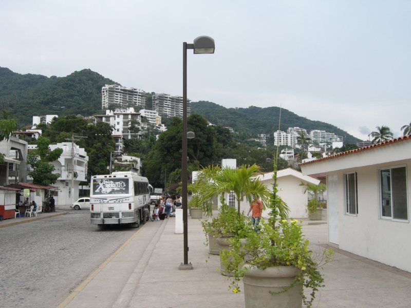cimg0806.jpg