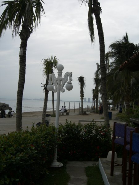 cimg0807.jpg