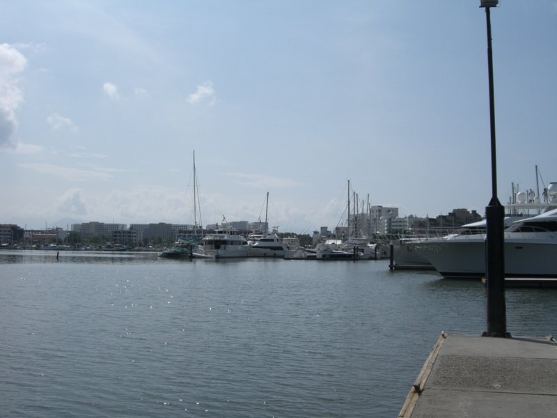 cimg0847.jpg