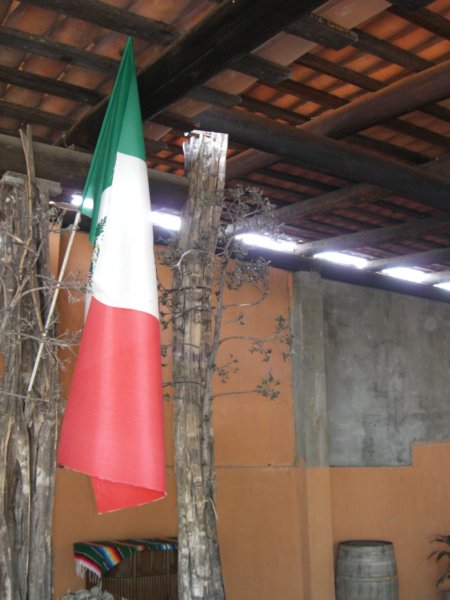 cimg0853.jpg