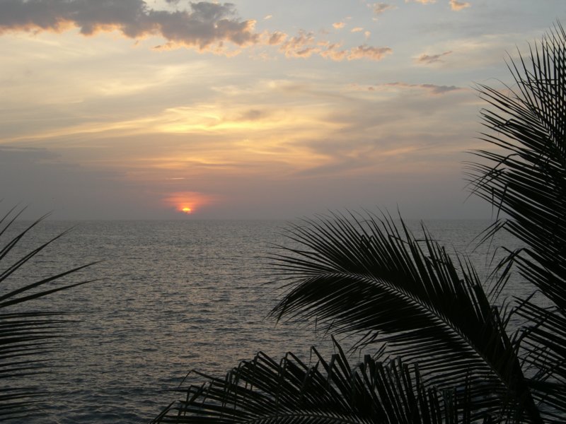 cimg0879.jpg