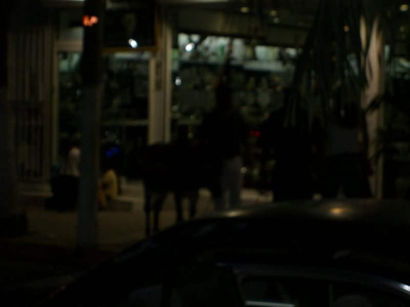 cimg0911.jpg