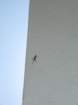 cimg0916_small.jpg